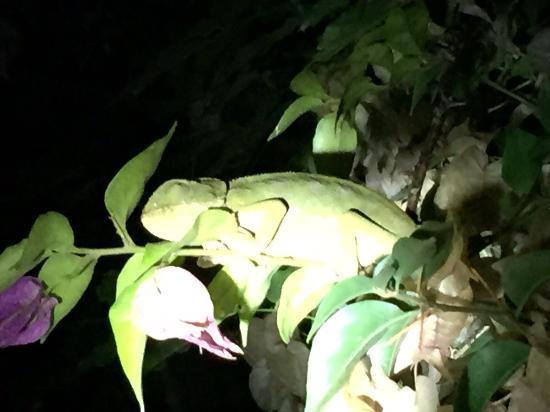 Jardín Botánico Celestino Mutis